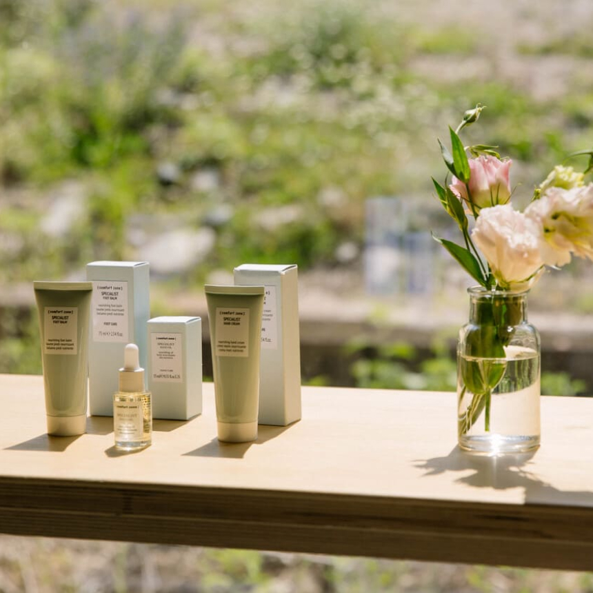 Семинар Comfort Zone  в визит-центре Аюсай