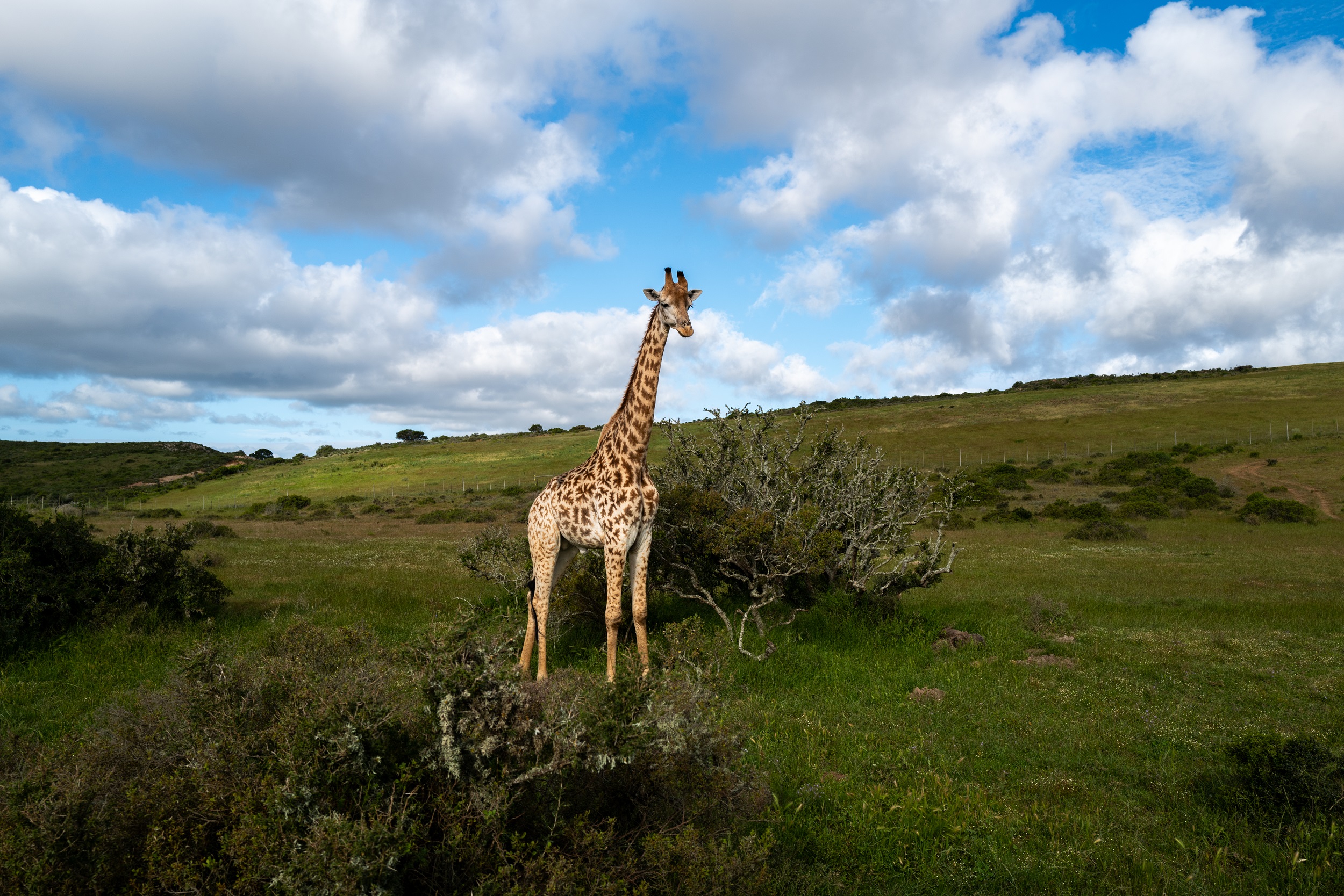 Путешествие в Южную Африку