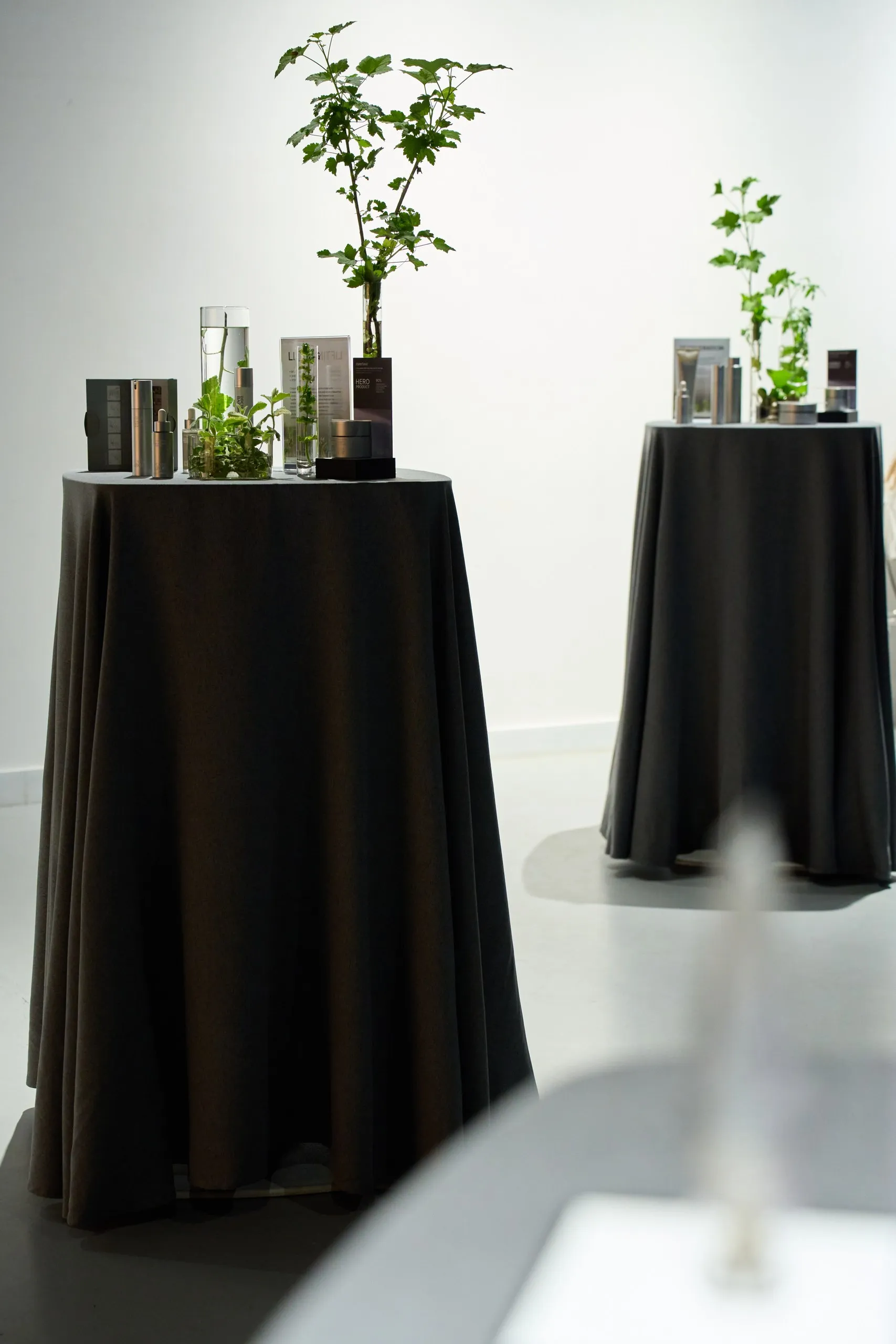 DOCTOR BABOR Pre-Launch